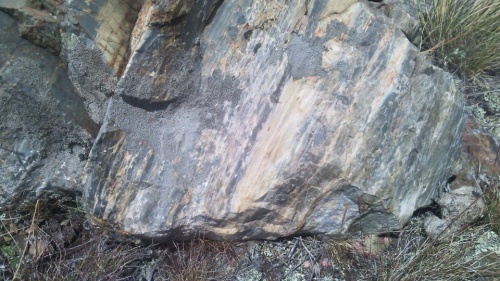 Гигантские зелёные валуны для ландшафтного дизайна весом более 5 тонн купить в Саранске